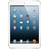Apple iPad mini 16Gb Wi-Fi + Cellular белый - Черняховск