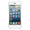 Apple iPhone 5 16Gb white - Черняховск